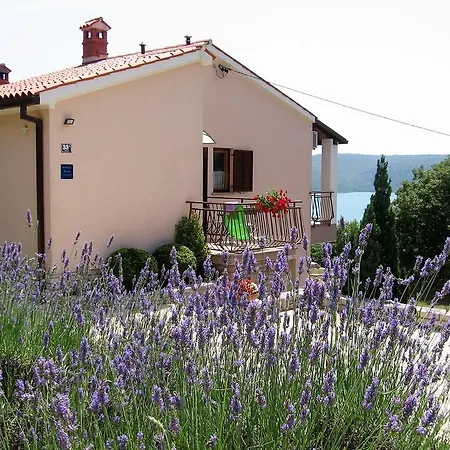 شقة Apartment In Trget/Istrien 8788 Trgetari